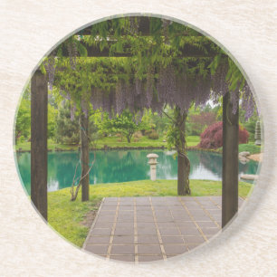 Pergola Of Wisteria Coaster