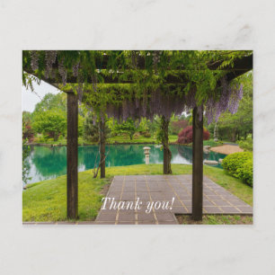 Pergola Of Wisteria Postcard