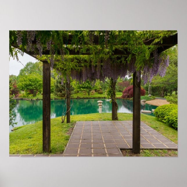 Pergola Of Wisteria Poster (Front)