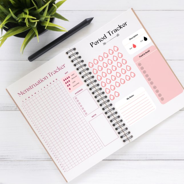 Period Tracker Planner (Creator Uploaded)