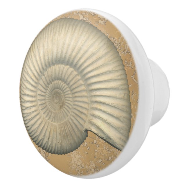 Perisphinctes Ammonite Ceramic Knob (Right)