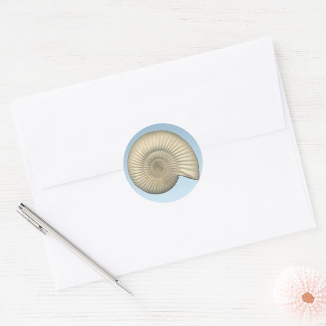Perisphinctes Ammonite Classic Round Sticker (Envelope)