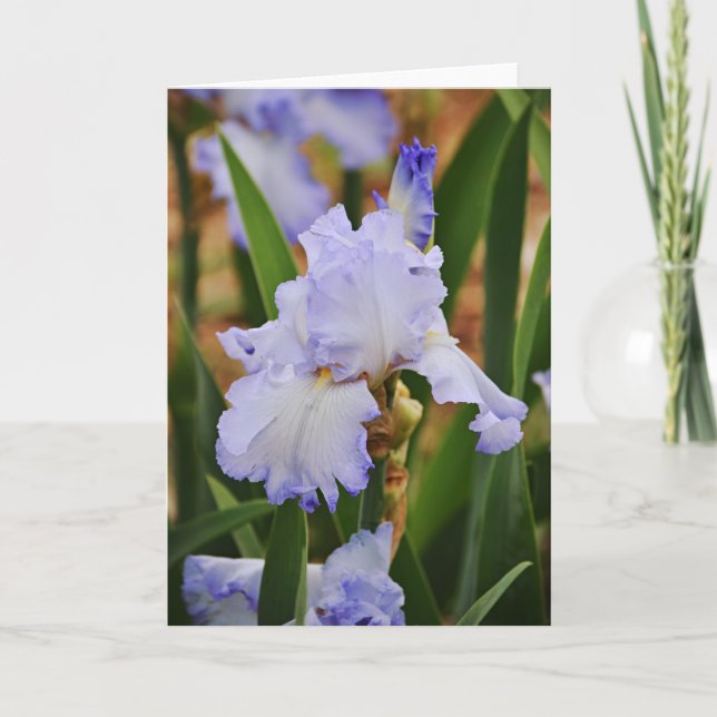 Periwinkle Blue Iris Flower Note Card (Front)