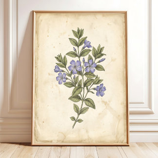 Periwinkle Botanical Farmhouse Art Print