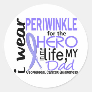 Periwinkle For Hero 2 Dad Oesophageal Cancer Classic Round Sticker