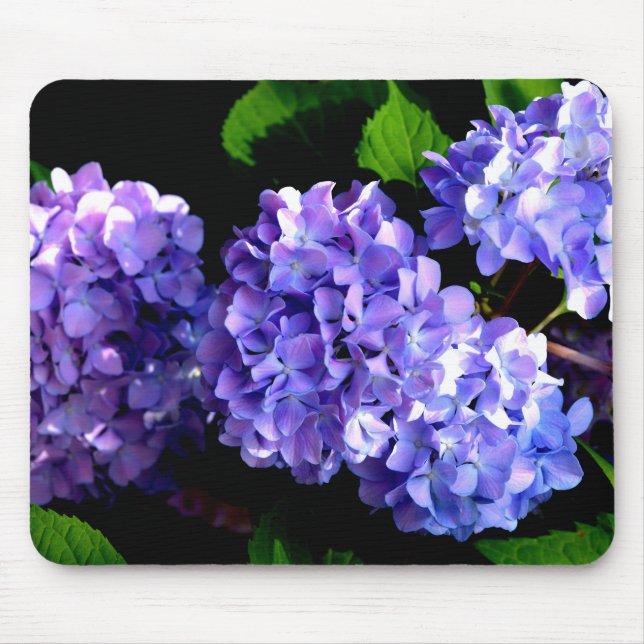 Periwinkle Hydrangeas Mouse Pad (Front)