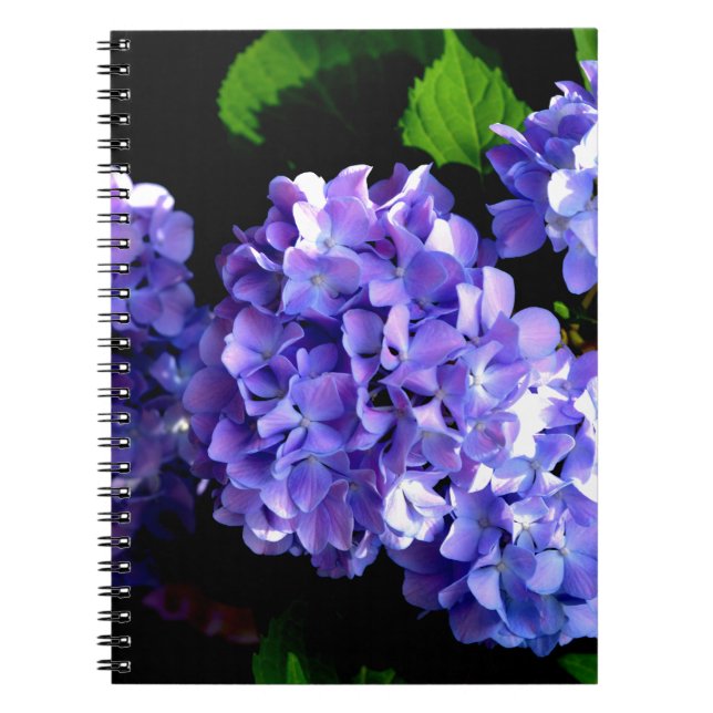 Periwinkle Hydrangeas Notebook (Front)
