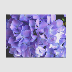 Periwinkle hydrangeas purple flowers blue flowers tissue paper