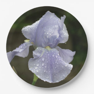 Periwinkle Iris Flowers with Raindrops Paper Plate