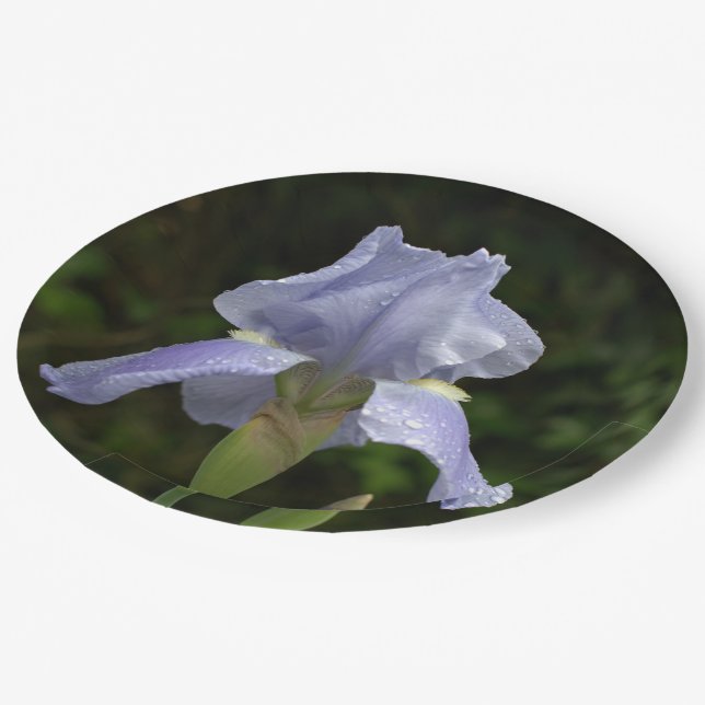 Periwinkle Iris Petals Raindrops Paper Plate (Angled)
