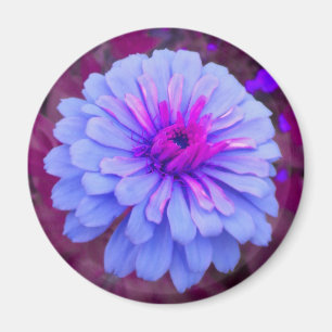 Periwinkle n Pink Zinnia Magnet