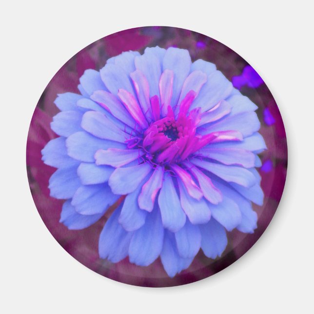 Periwinkle n Pink Zinnia Magnet (Front)