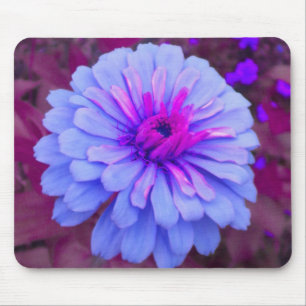 Periwinkle n Pink Zinnia Mousepad