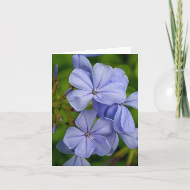 Periwinkle Note Card (Front)