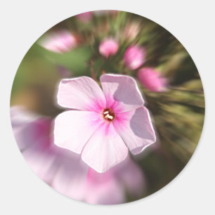 Periwnkle Classic Round Sticker