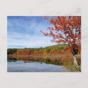 Perkins Pond Autumn Scene Postcard