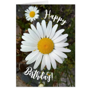 Perky White Daisy Flower Happy Birthday Card