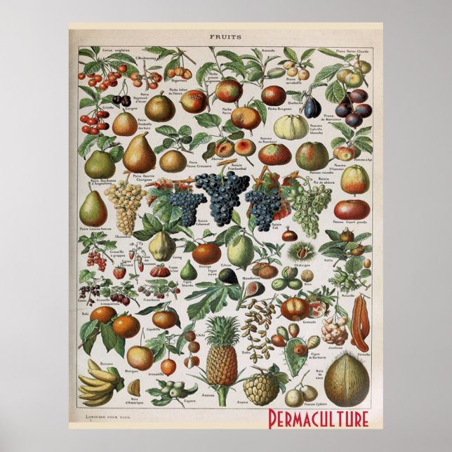 Permaculture Farms Fruits ,  personalise Poster (Front)
