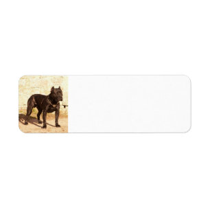 perro de pressa canerio full return address label
