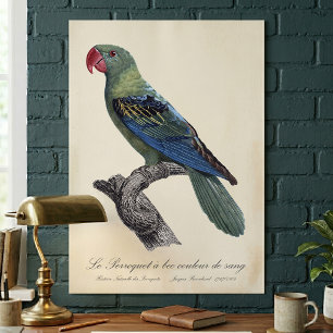 Perroquet a bec couleur sang / Great-billed parrot Poster