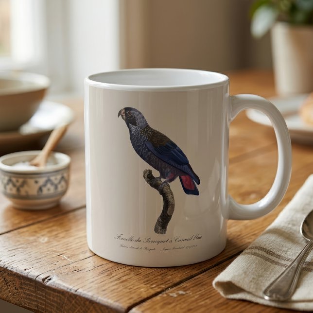 Perroquet a Camail bleu / Dusky parrot  Coffee Mug (Dusky Parrot or Dusky Pionus, Pionus fuscus. Coffee Mug)