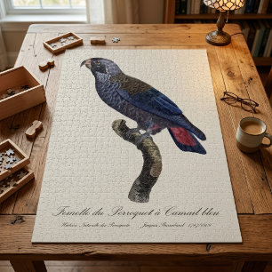 Perroquet a Camail bleu / Dusky parrot  Jigsaw Puzzle