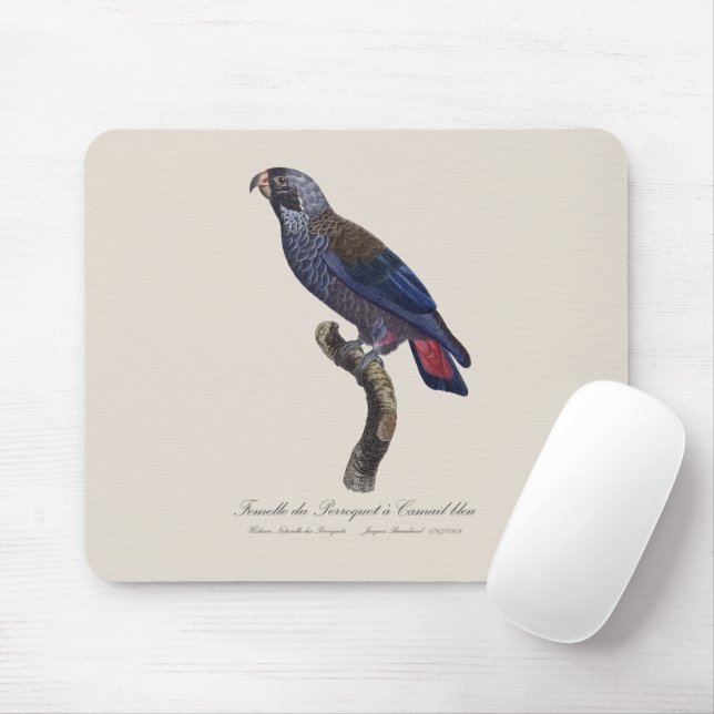 Perroquet a Camail bleu / Dusky parrot  Mouse Pad (With Mouse)