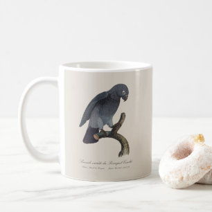 Perroquet Cendre / Timneh African grey parrot Coffee Mug