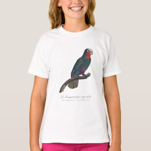 Perroquet face rouge male  / Cuban Amazon  T-Shirt