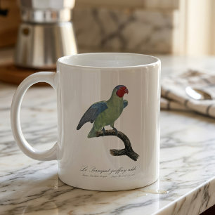 Perroquet geoffroy male / Red cheeked Parrot  Coffee Mug