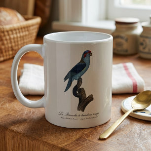 Perruche a bandeau rouge / Musk Lorikeet  Coffee Mug