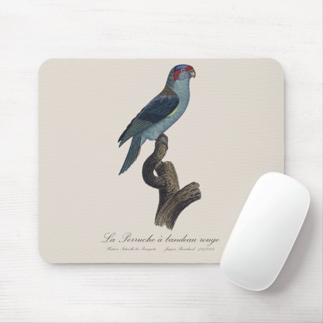 Perruche a bandeau rouge / Musk Lorikeet  Mouse Pad (With Mouse)
