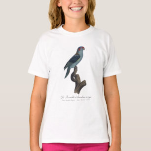 Perruche a bandeau rouge / Musk Lorikeet  T-Shirt