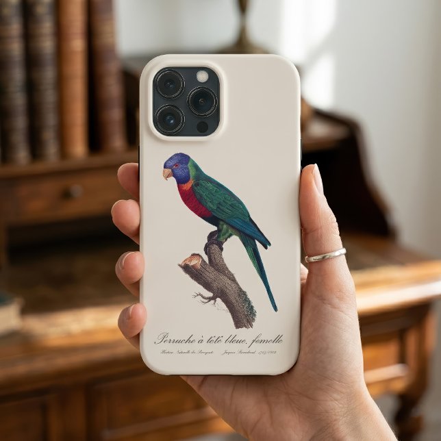 Perruche a tete bleue, femelle / Rainbow lorikeet, Case-Mate iPhone Case (Perruche a tete bleue, femelle / Rainbow lorikeet, female. iPhone Case)