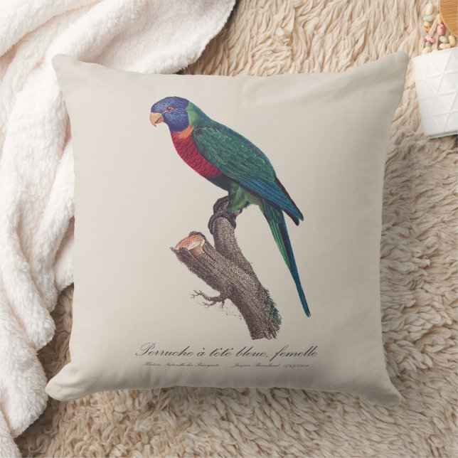 Perruche a tete bleue, femelle / Rainbow lorikeet, Cushion (Blanket)