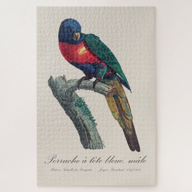 Perruche a tete bleue / Rainbow lorikeet  Jigsaw Puzzle (Vertical)