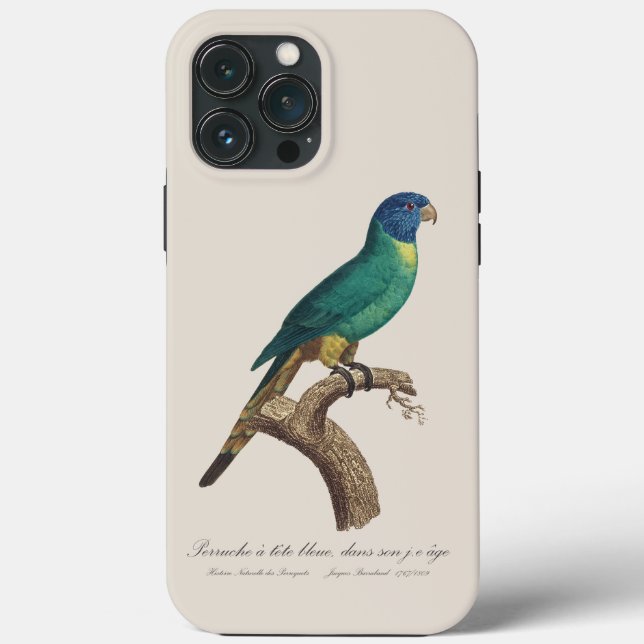 Perruche a tete bleue / Rainbow lorikeet, juvenile Case-Mate iPhone Case (Back)