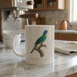 Perruche a tete bleue / Rainbow lorikeet, juvenile Coffee Mug