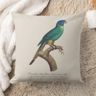 Perruche a tete bleue / Rainbow lorikeet, juvenile Cushion