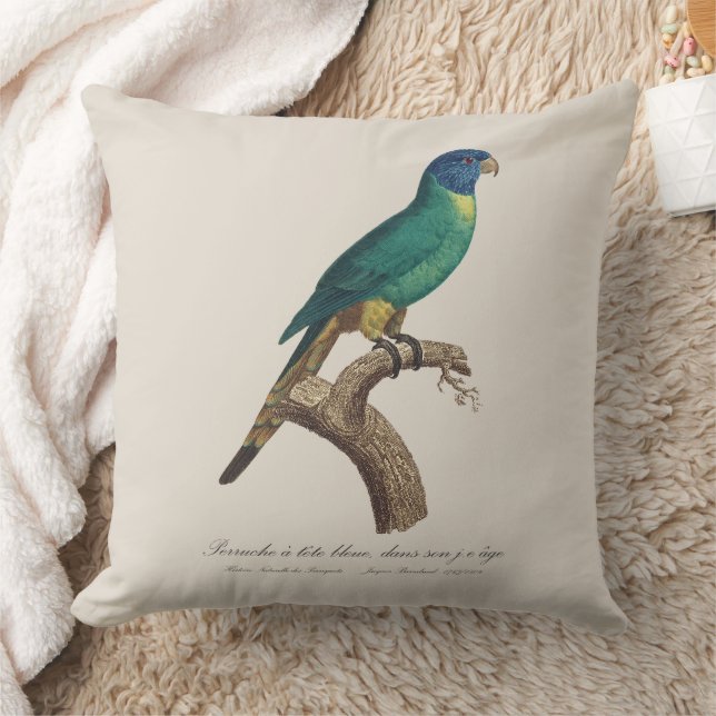 Perruche a tete bleue / Rainbow lorikeet, juvenile Cushion (Blanket)