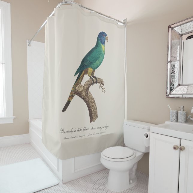 Perruche a tete bleue / Rainbow lorikeet, juvenile Shower Curtain (In Situ)