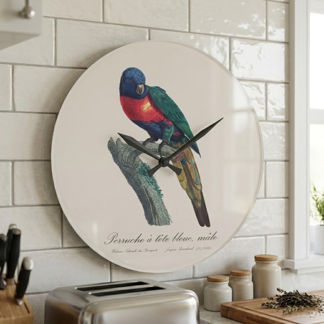 Perruche a tete bleue / Rainbow lorikeet  Large Clock (Rainbow Lorikeet Male, Trichoglossus Moluccanus. Large Clock)