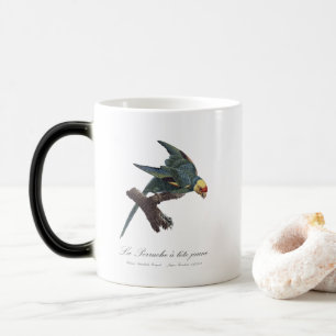 Perruche a Tete Jaune / Carolina parakeet Magic Mug