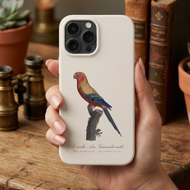 Perruche Ara, Guarouba  / Sun parakeet  Case-Mate iPhone Case (Sun Parakeet Male, Aratinga Solstitialis. iPhone Case)