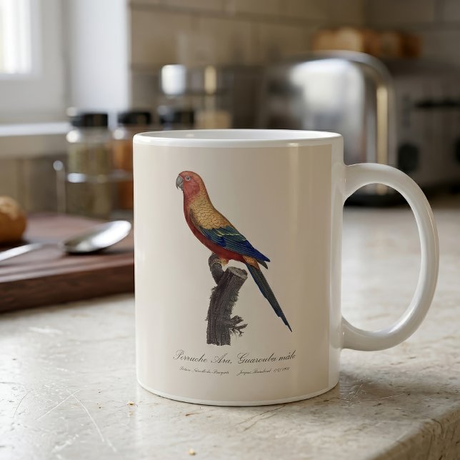 Perruche Ara, Guarouba  / Sun parakeet  Coffee Mug (Sun Parakeet Male, Aratinga Solstitialis. Coffee Mug)
