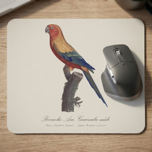 Perruche Ara, Guarouba  / Sun parakeet  Mouse Pad