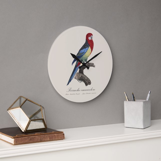 Perruche omnicolore / Eastern rosella  Large Clock (Office)