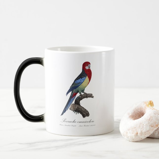 Perruche omnicolore / Eastern rosella  Magic Mug (With Donut)