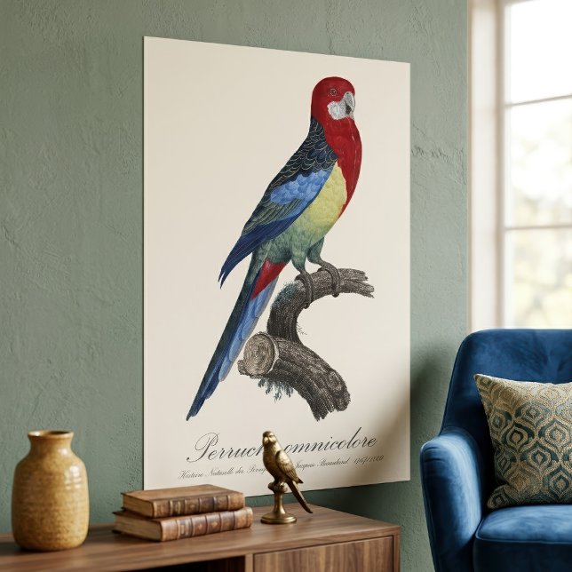 Perruche omnicolore / Eastern rosella  Poster (Eastern rosella or Platycercus eximius parakeet. Poster)