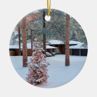 Perry Park in Winter Christmas Ornament
